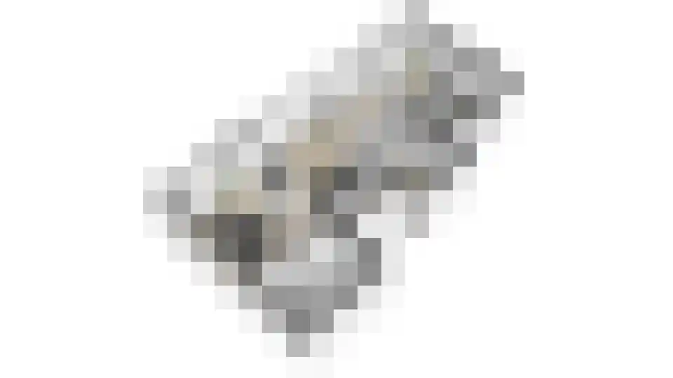 Zalmgracht 4 Beuningen Gld thumbnail 62