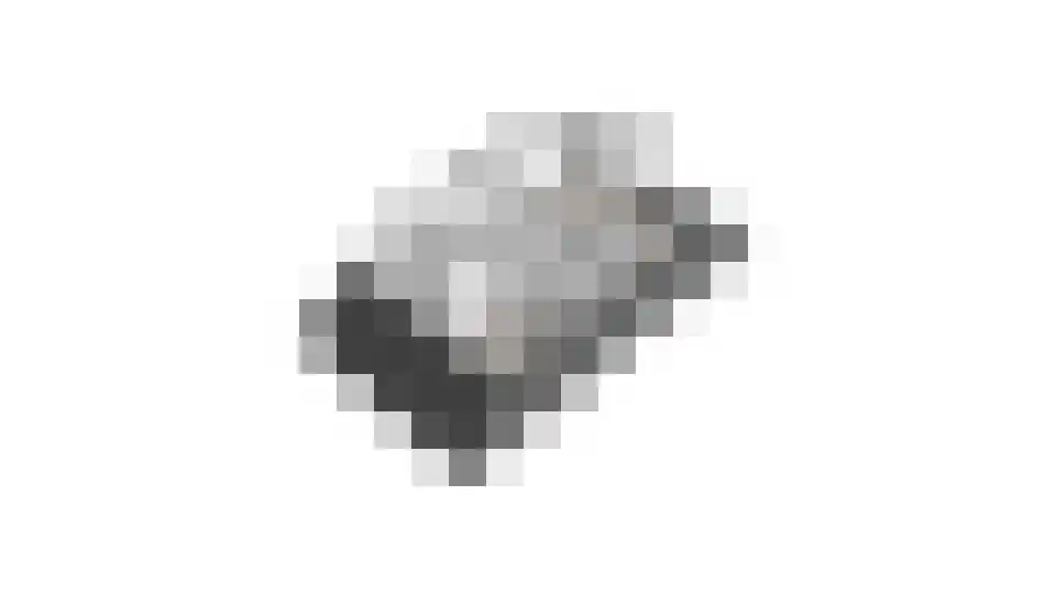 Zalmgracht 4 Beuningen Gld thumbnail 68
