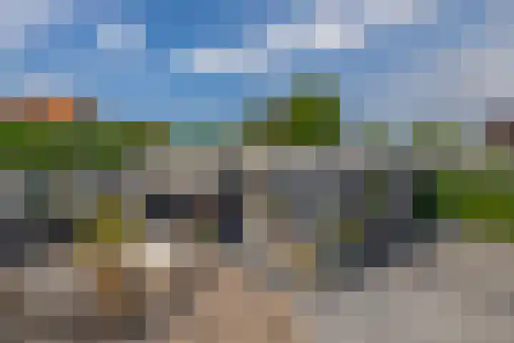 Zalmlaan 1 a Zwartewaal thumbnail 10