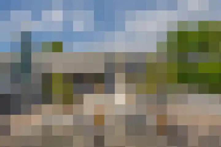 Zalmlaan 1 a Zwartewaal thumbnail 11