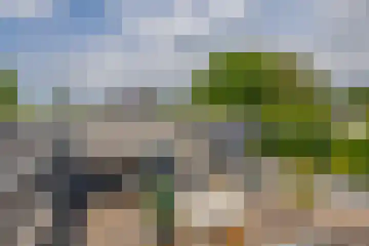 Zalmlaan 1 a Zwartewaal thumbnail 12