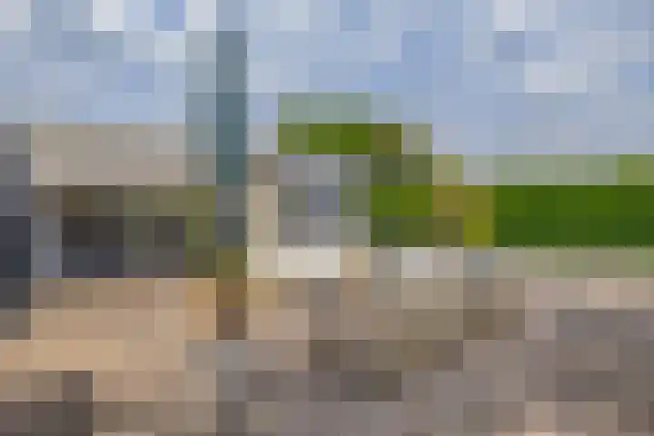 Zalmlaan 1 a Zwartewaal thumbnail 13