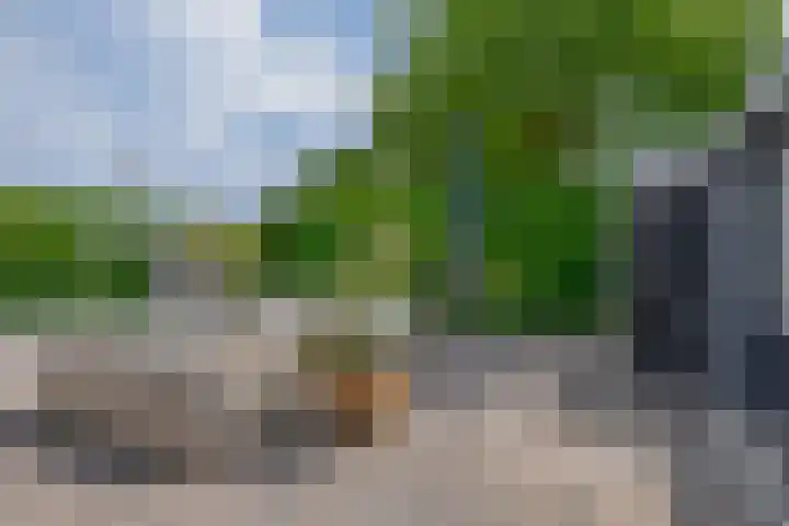 Zalmlaan 1 a Zwartewaal thumbnail 14