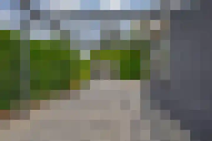 Zalmlaan 1 a Zwartewaal thumbnail 18