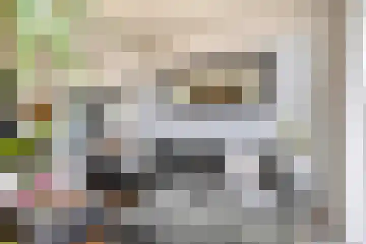 Zalmlaan 1 a Zwartewaal thumbnail 23