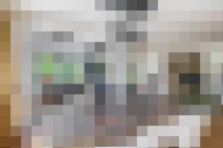 Zalmlaan 1 a Zwartewaal thumbnail 27