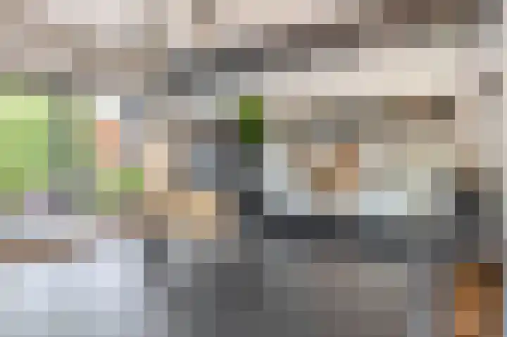 Zalmlaan 1 a Zwartewaal thumbnail 29