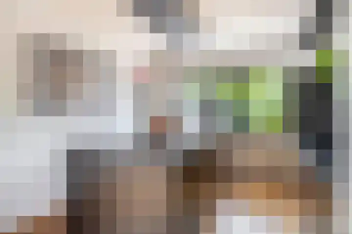 Zalmlaan 1 a Zwartewaal thumbnail 30