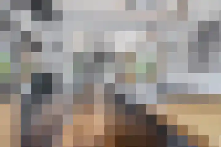 Zalmlaan 1 a Zwartewaal thumbnail 33