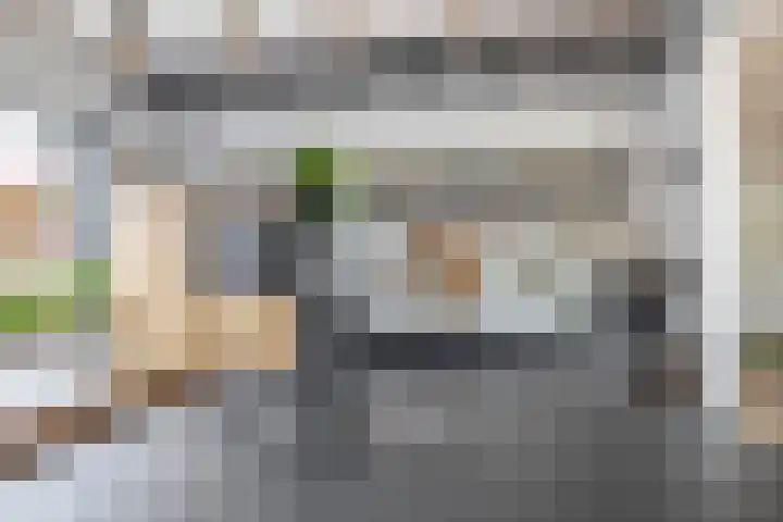 Zalmlaan 1 a Zwartewaal thumbnail 34