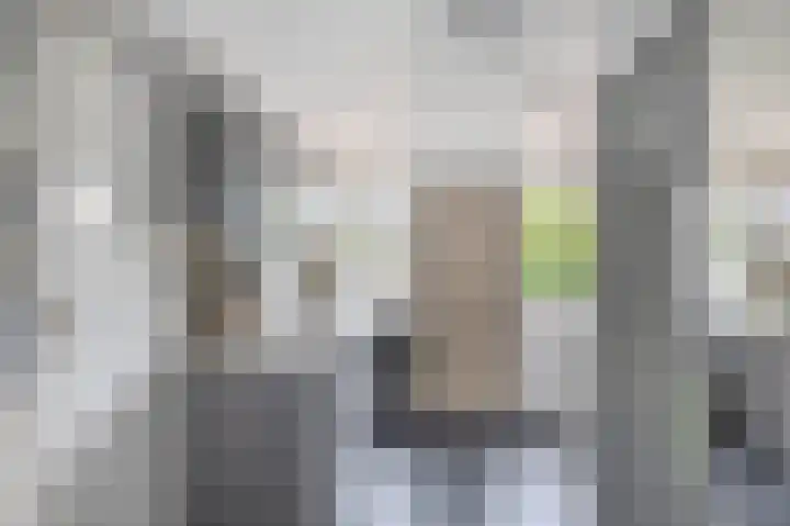 Zalmlaan 1 a Zwartewaal thumbnail 37