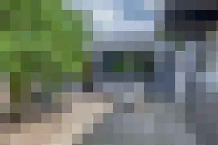 Zalmlaan 1 a Zwartewaal thumbnail 38