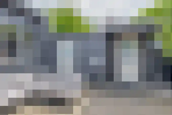 Zalmlaan 1 a Zwartewaal thumbnail 39