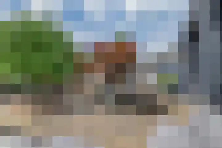 Zalmlaan 1 a Zwartewaal thumbnail 4