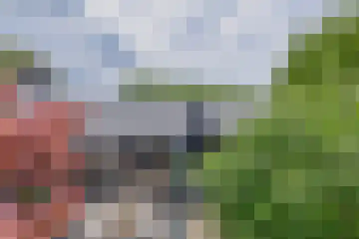 Zalmlaan 1 a Zwartewaal thumbnail 40