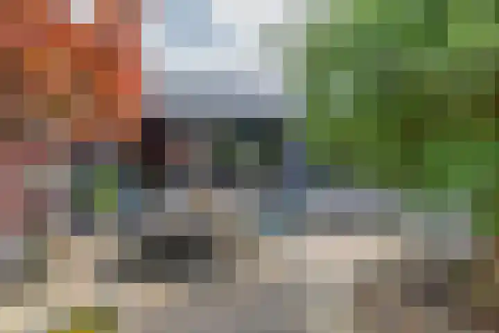 Zalmlaan 1 a Zwartewaal thumbnail 41