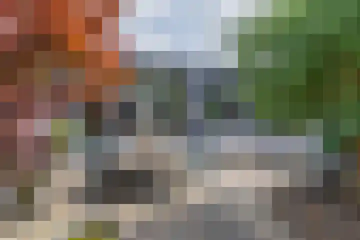 Zalmlaan 1 a Zwartewaal thumbnail 42