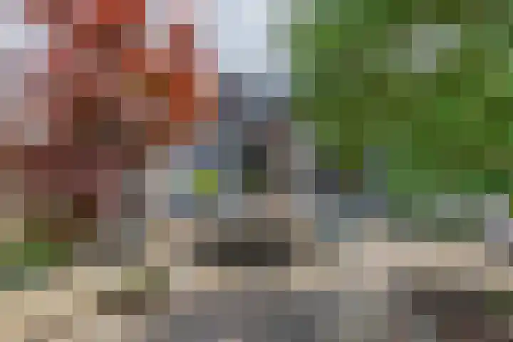 Zalmlaan 1 a Zwartewaal thumbnail 43