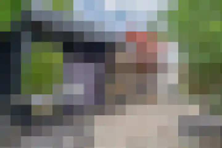 Zalmlaan 1 a Zwartewaal thumbnail 44