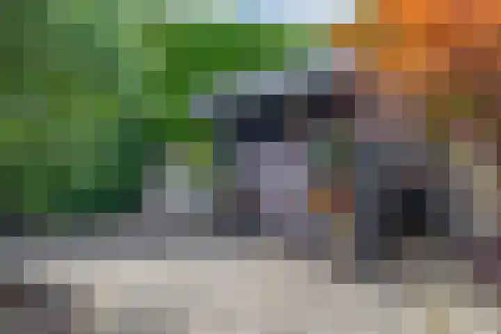 Zalmlaan 1 a Zwartewaal thumbnail 45