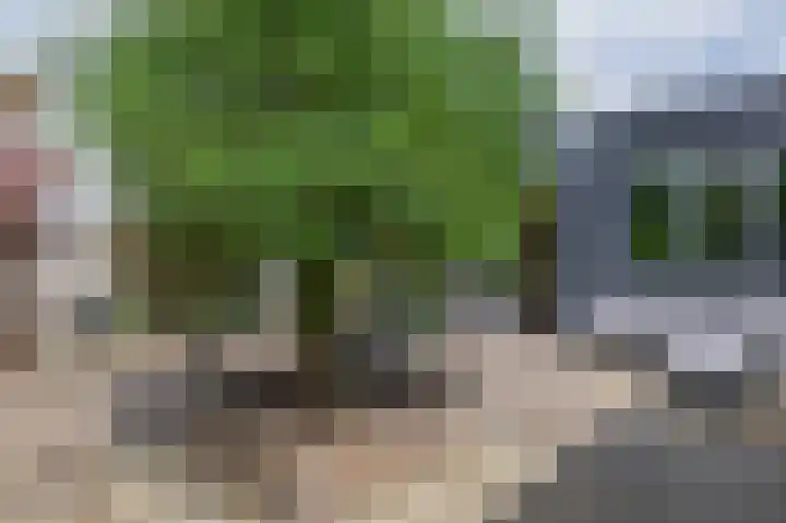 Zalmlaan 1 a Zwartewaal thumbnail 46
