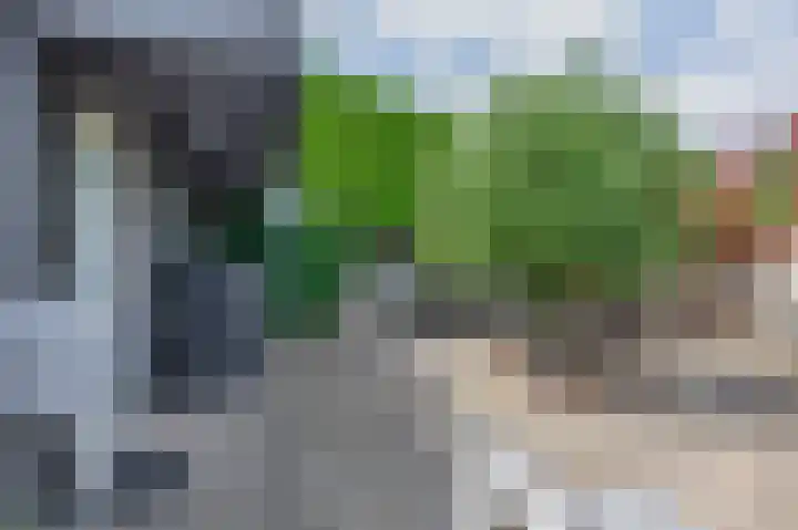 Zalmlaan 1 a Zwartewaal thumbnail 47