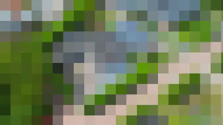 Zalmlaan 1 a Zwartewaal thumbnail 5