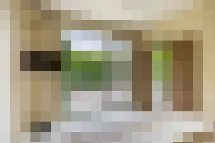 Zalmlaan 1 a Zwartewaal thumbnail 50