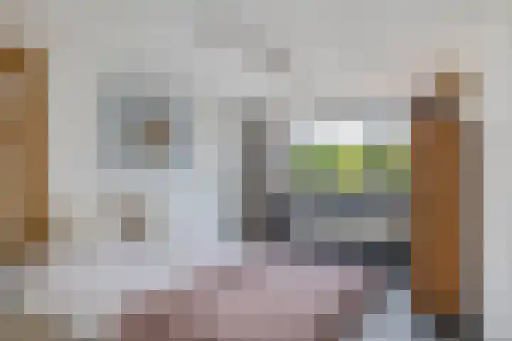 Zalmlaan 1 a Zwartewaal thumbnail 57