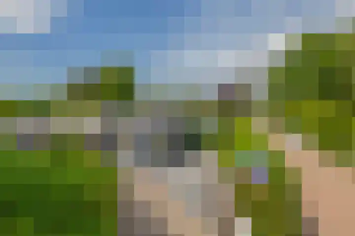 Zalmlaan 1 a Zwartewaal thumbnail 6
