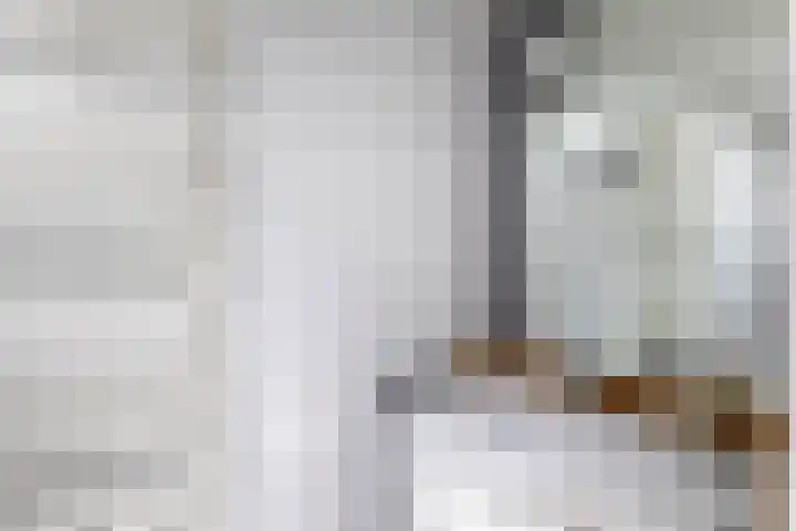 Zalmlaan 1 a Zwartewaal thumbnail 63