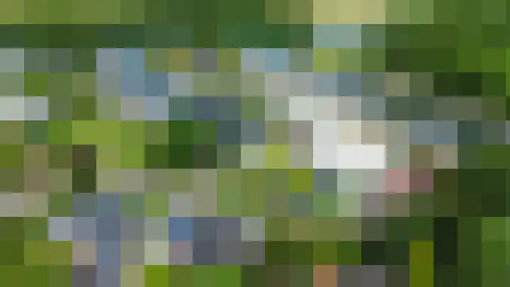Zalmlaan 1 a Zwartewaal thumbnail 65