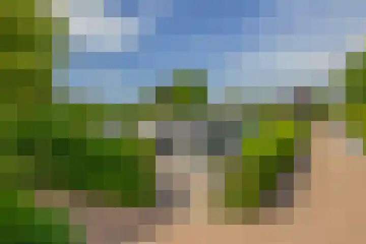 Zalmlaan 1 a Zwartewaal thumbnail 7