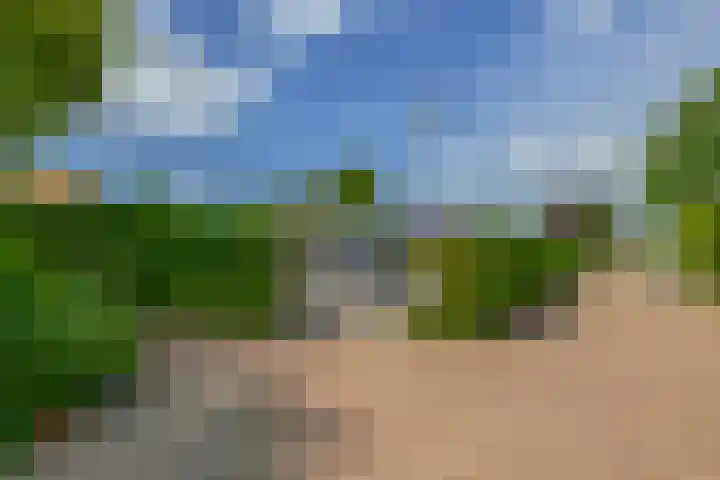 Zalmlaan 1 a Zwartewaal thumbnail 8