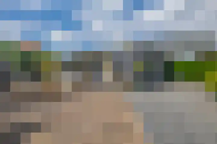 Zalmlaan 1 a Zwartewaal thumbnail 9