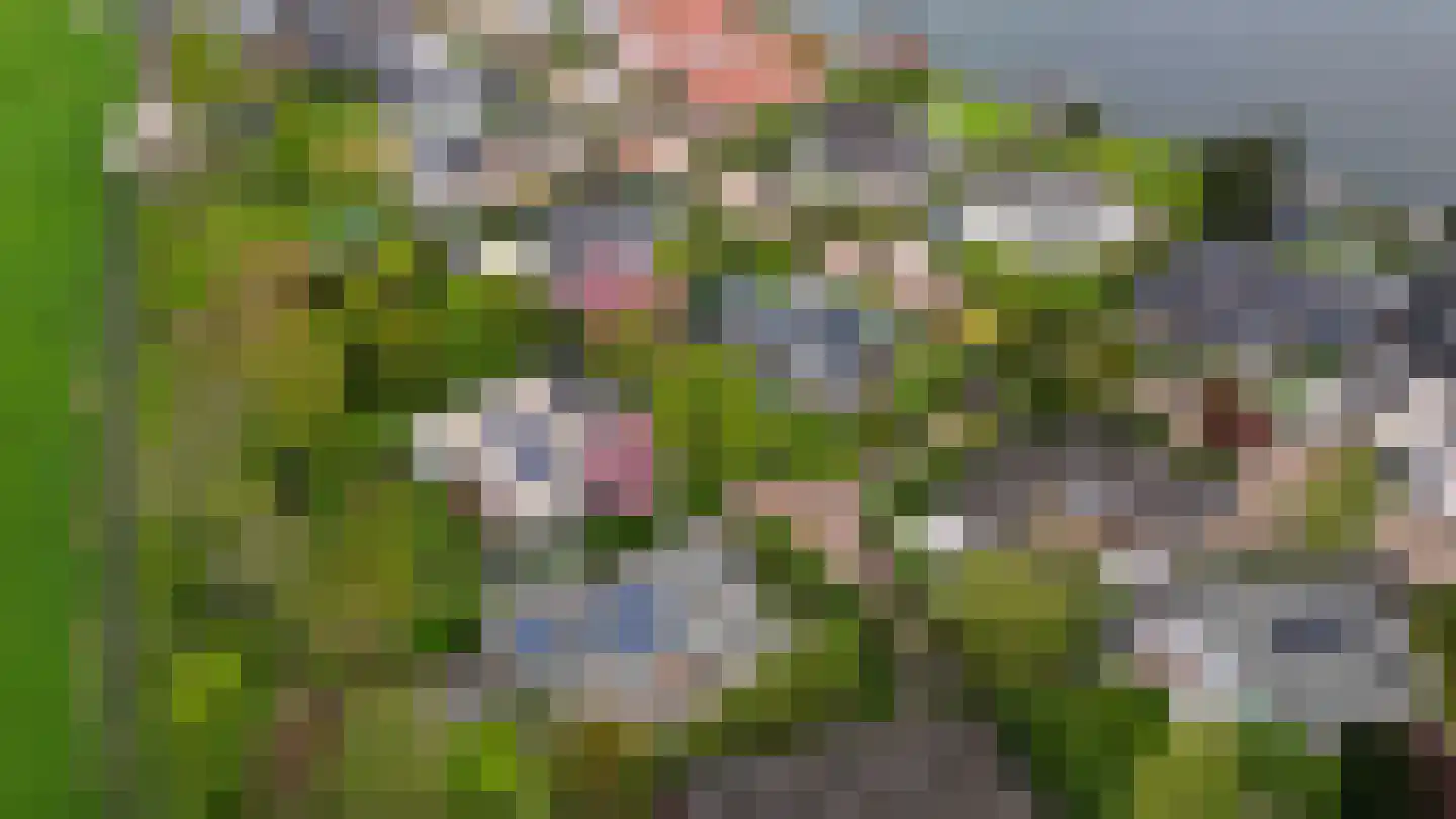 Zalmlaan 15 Zwartewaal