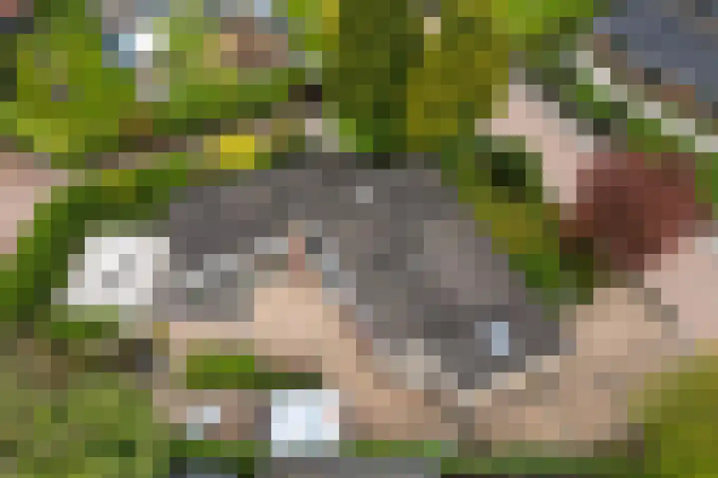 Zalmlaan 15 Zwartewaal thumbnail 30