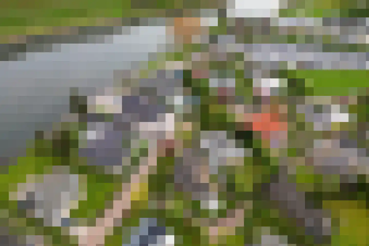Zalmlaan 15 Zwartewaal thumbnail 31