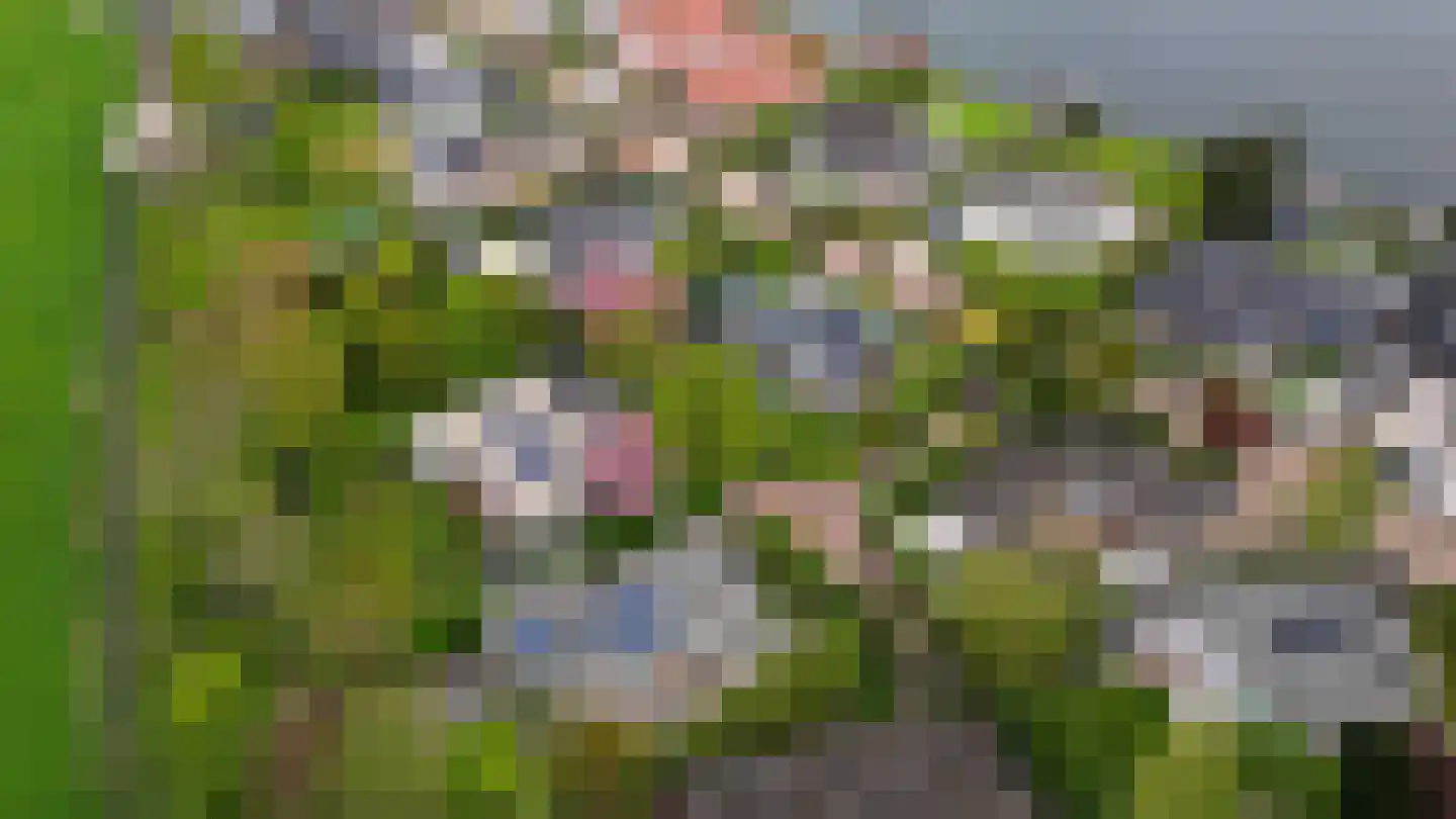 Zalmlaan 15 Zwartewaal thumbnail 33