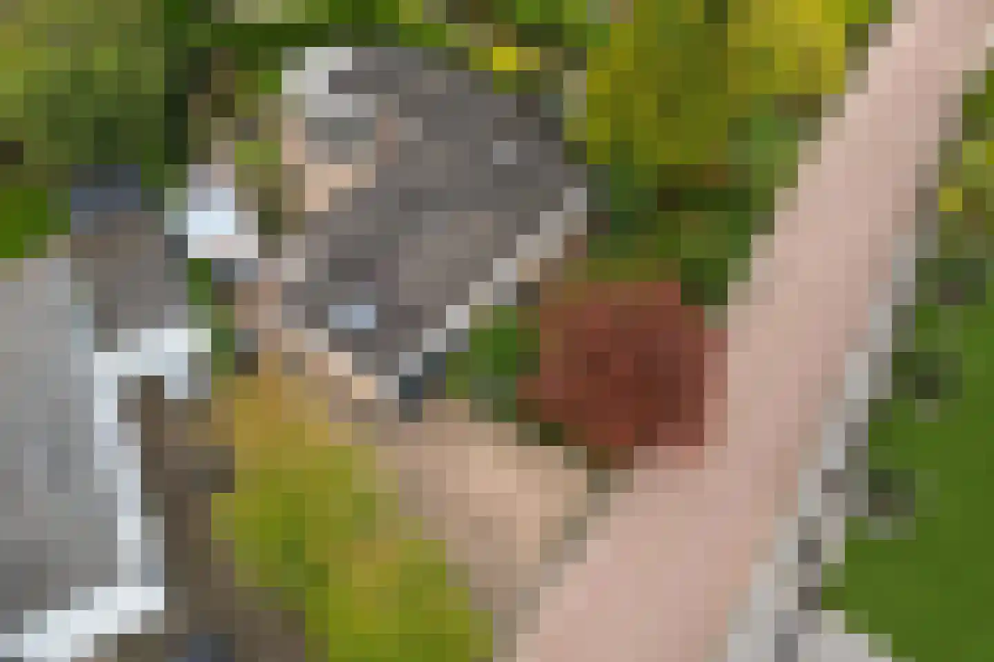 Zalmlaan 15 Zwartewaal thumbnail 5