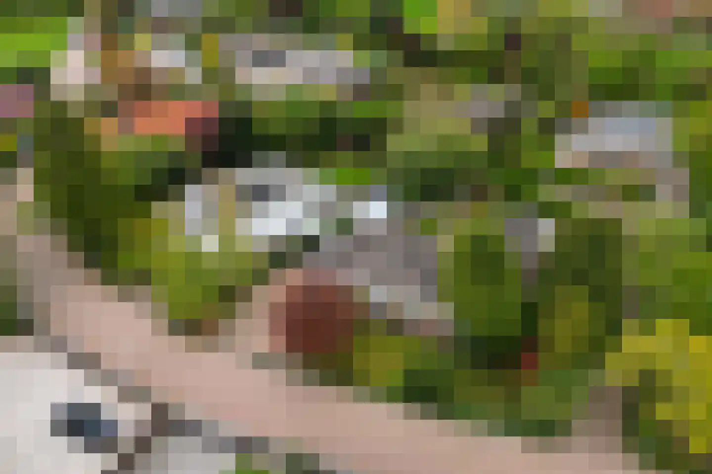 Zalmlaan 15 Zwartewaal thumbnail 7