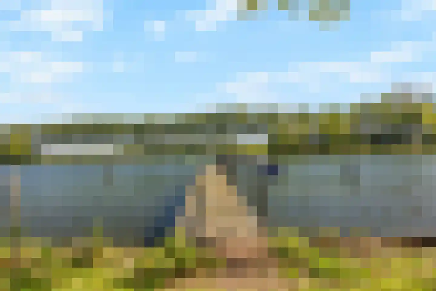 Zalmlaan 8 Zwartewaal thumbnail 27