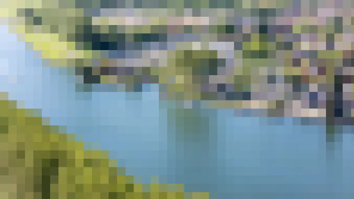 Zalmlaan 8 Zwartewaal thumbnail 32