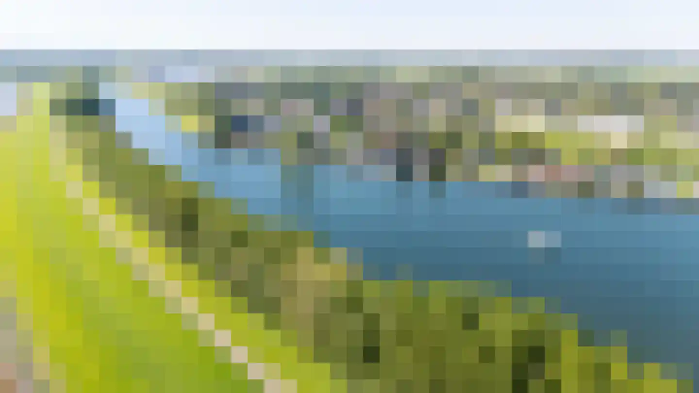 Zalmlaan 8 Zwartewaal thumbnail 33