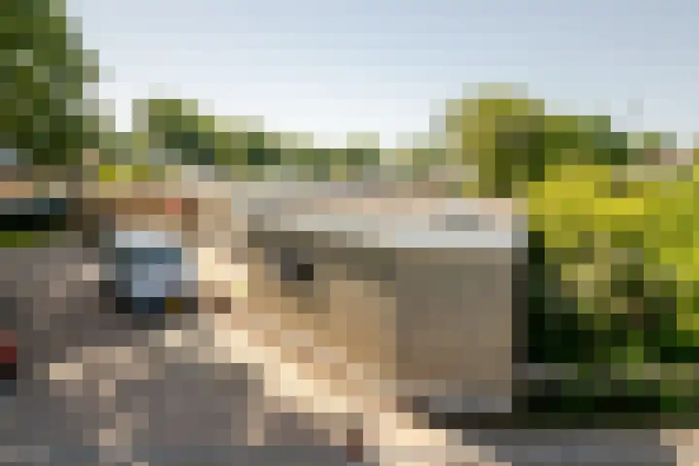 Zalmlaan 8 Zwartewaal thumbnail 35