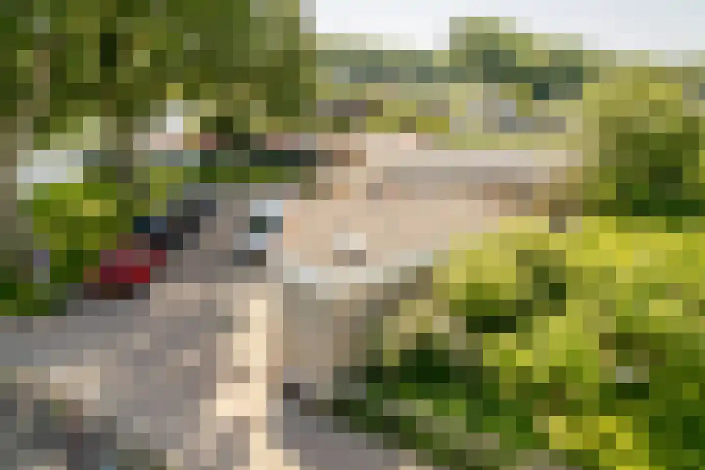 Zalmlaan 8 Zwartewaal thumbnail 36