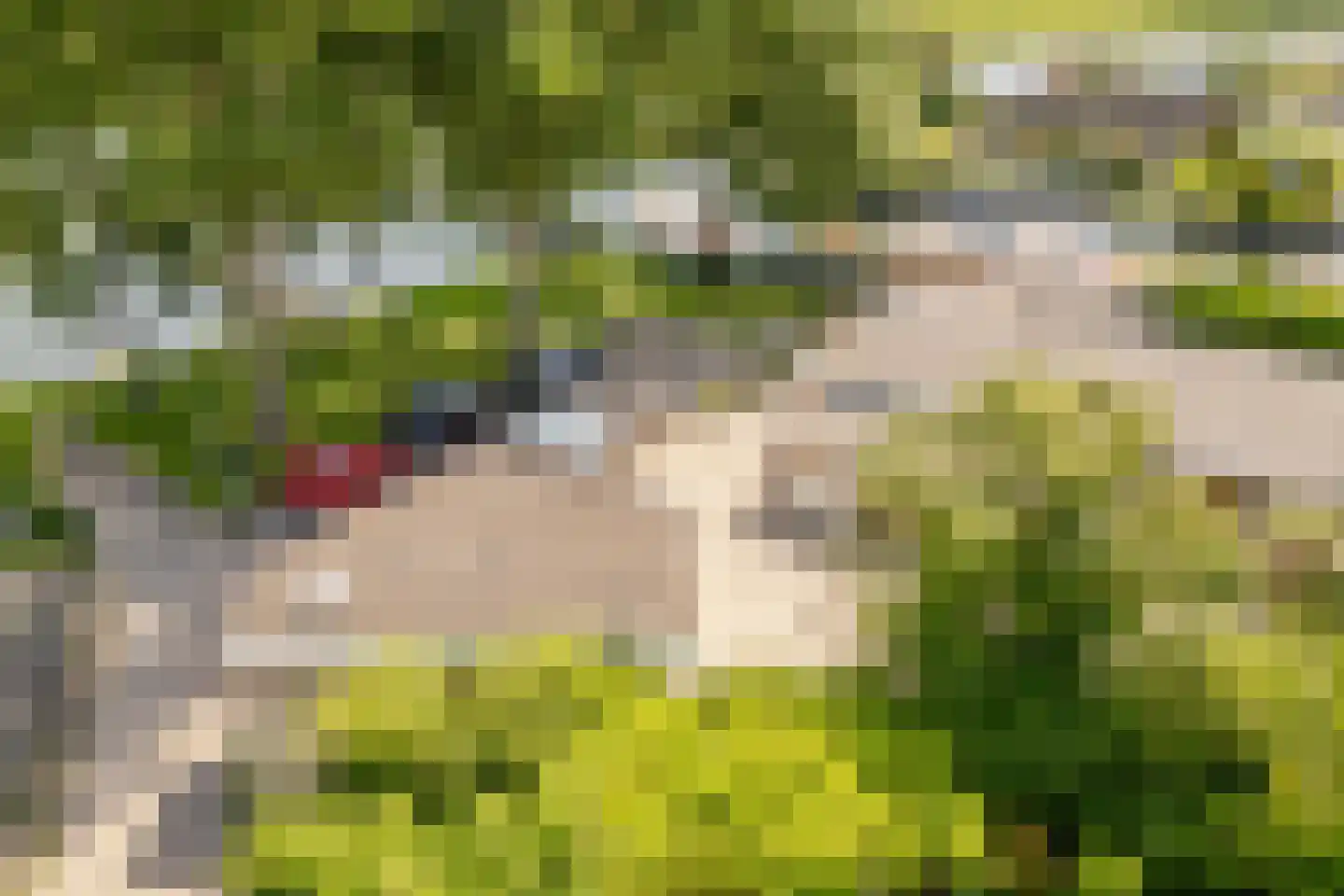 Zalmlaan 8 Zwartewaal thumbnail 38
