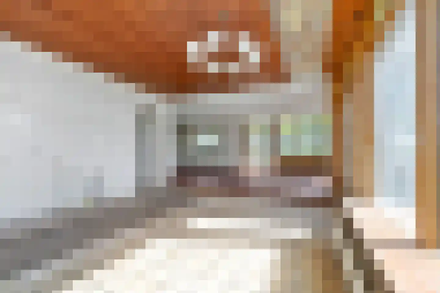 Zalmlaan 8 Zwartewaal thumbnail 8