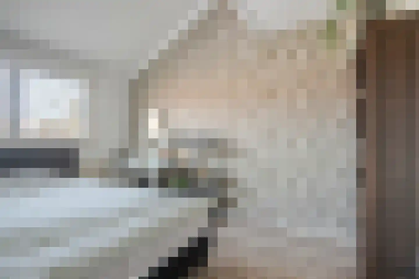 Zalmplein 12 Almere thumbnail 22