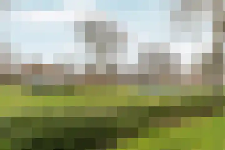 Zalmplein 26 Almere thumbnail 47